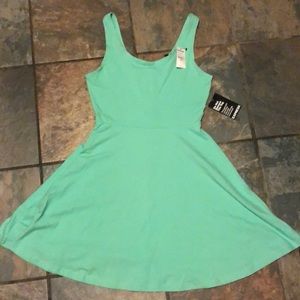 Express Skater Dress